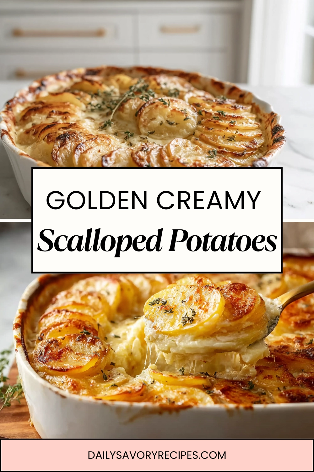 Golden Creamy Scalloped Potatoes baked with a rich garlic cream sauce
